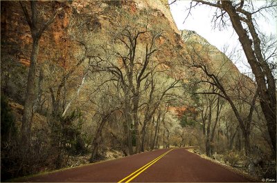 Entering Zion