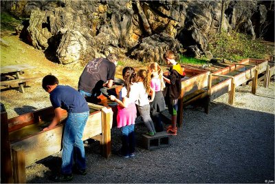 Panning for Gold