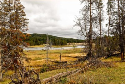Yellowstone In The Fall