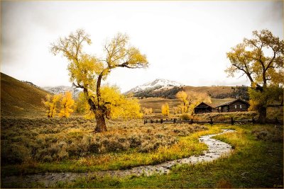 Buffalo Ranch