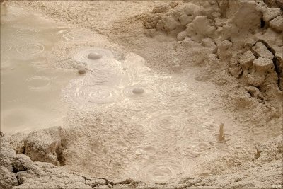 Artist's Paint Pots 