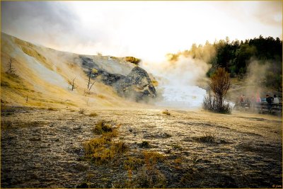 Mammoth Hot Springs