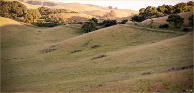 San Jose Hills