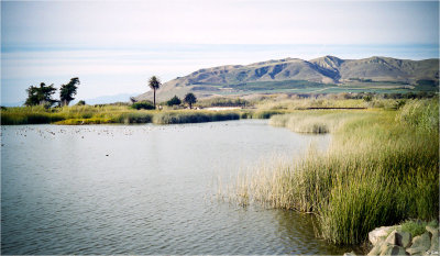 Ventura River Estuary