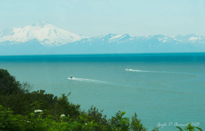 Fishing Boats in Cook Inlet