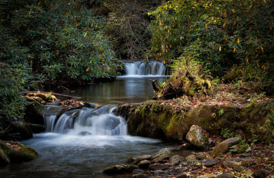 Falls on Parsons Branch Road