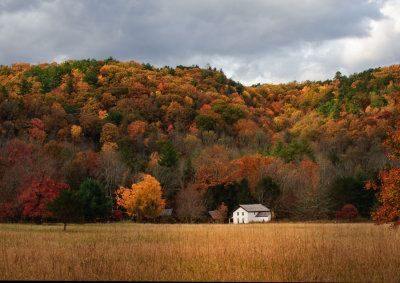 Autumn at the Farm