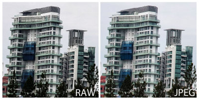 Raw vs Jpeg Comparison.jpg