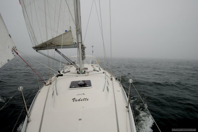New sailing season has started / fog