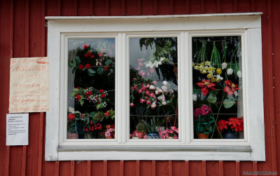 Flower window