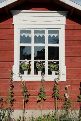 Flower window II