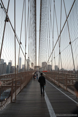 Transit / Brooklyn bridge II