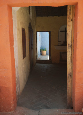 Monastery flowers