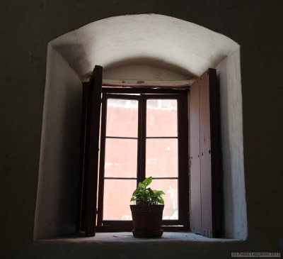 Monastery window flower II