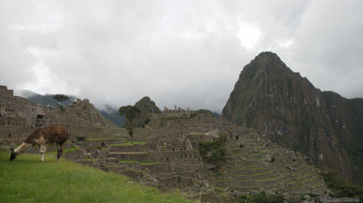 Lama & Huyana Picchu