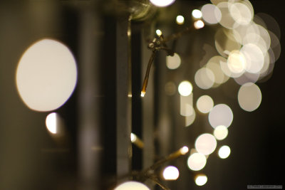 Chrtistmas light(s)