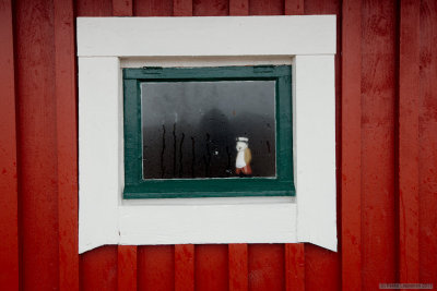 Sailor in the rain window