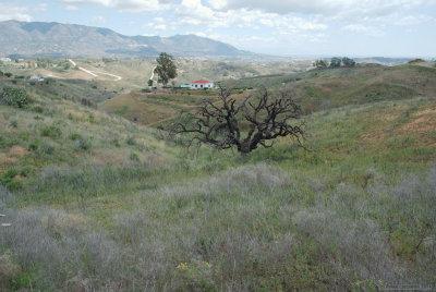 Calahonda hills, facing Mijas & Fuengirola
