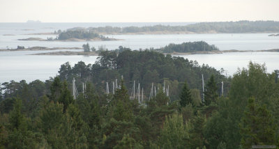 Trees & masts