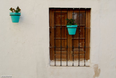 Window and two flowerpots