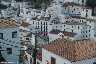 Casares