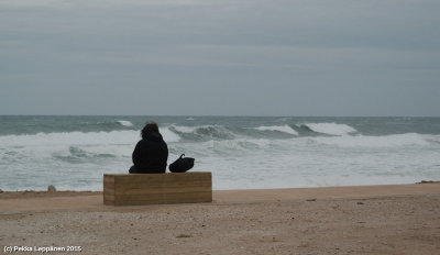 Watching the waves