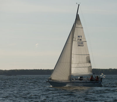 Racing with Vione