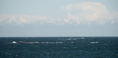 Looking south / 15m/s