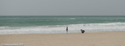 On the beach / Photographing