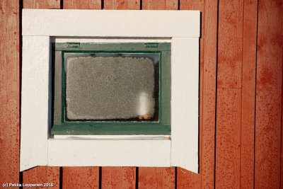 Fisherman's frozen window facing the noon sun