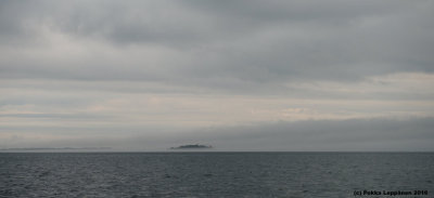 Sea fog II