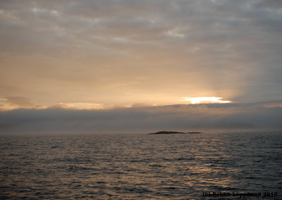 Sun setting over sea fog
