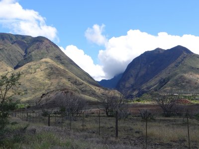 Maui petroglyphs