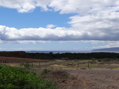DSC06003.jpg