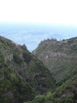 DSC05905.jpg