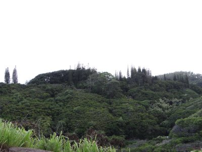 DSC05907.jpg