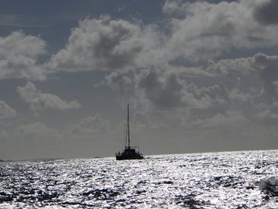 DSC06302.jpg