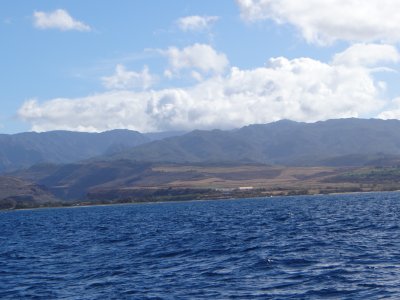 DSC06304.jpg