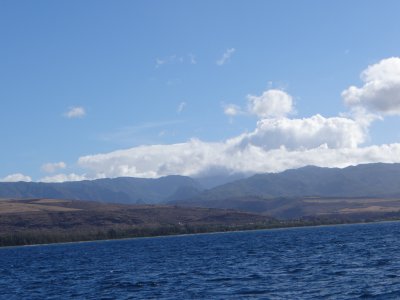 DSC06309.jpg