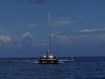 DSC06382.jpg