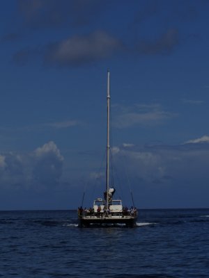 DSC06383.jpg