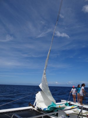 DSC06416.jpg