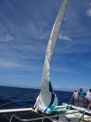 DSC06417.jpg