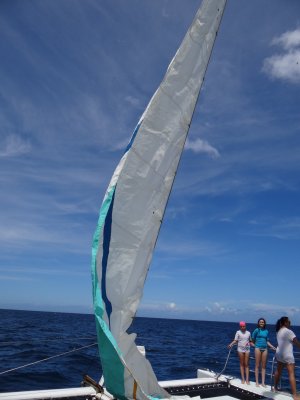 DSC06418.jpg