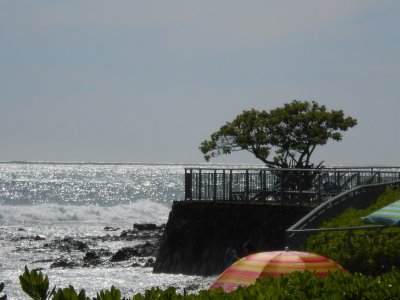 extra_hawaii_photos
