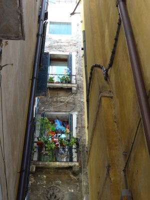DSC07505.jpg
