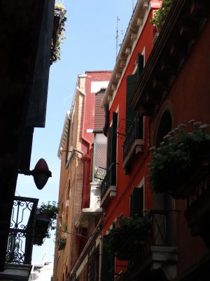 DSC07512.jpg