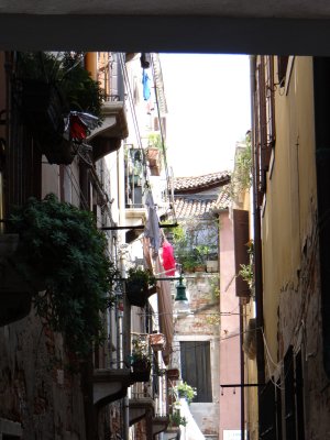 DSC07578.jpg