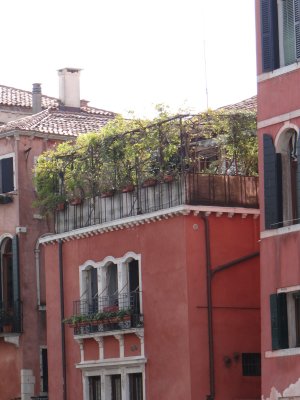 DSC07621.jpg