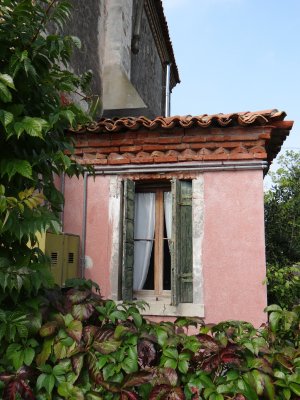 DSC07795.jpg